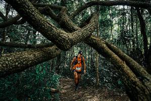 BIB: 
                            <button type="button" onclick="openModal(25664343)" class="btn btn-primary btn-sm float-right btn-popup" data-toggle="modal" data-target=".modal-high-quality">
                        <i class="fas fa-shopping-cart"></i> Add to Cart
                    </button>
                                            <button type="button" onclick="isThisMe(25664343, true)" class="btn btn-success btn-sm float-right btn-popup btn-isme hidden" data-toggle="tooltip" data-placement="bottom" title="นี่คือรูปของคุณใช่ไหม คลิกที่นี่เพื่อเอาเข้าอัลบั้ม">
                        <i class="fas fa-plus"></i> Add to album
                    </button>
                    <button type="button" onclick="isThisMe(25664343, false)" class="btn btn-warning btn-sm float-right btn-popup btn-isnotme hidden">
                        <i class="fas fa-ban"></i> Remove from album
                    </button>